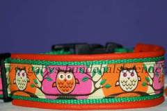 FB_IMG_1725813133353