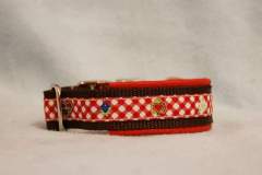 FB_IMG_1725813411667