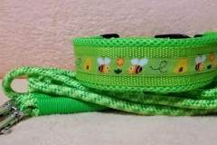 FB_IMG_1741699826723