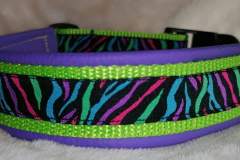 FB_IMG_1762325709538