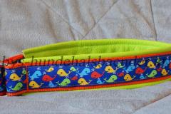 FB_IMG_1762325748898