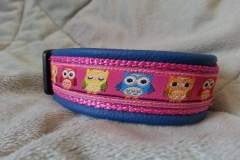 FB_IMG_1762325860425