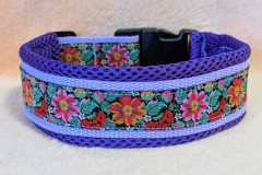 IMG-20250513-WA0018