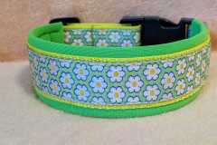 IMG-20250513-WA0019