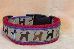 IMG-20250818-WA0001