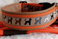 IMG_20200126_172345_238