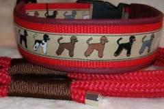 IMG_20200126_172758_623