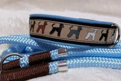 IMG_20200218_174810_513