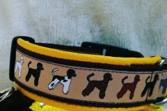 IMG_20200802_093126_953_edit_1436219997581886