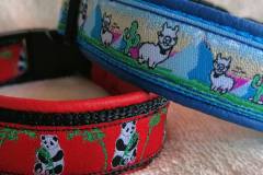 IMG_20201026_094848_484