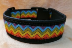 IMG_20231005_164509_edit_4786809809915931