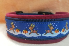 IMG_20231209_155951_edit_7724090789118769