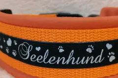 IMG_20240925_072646_390