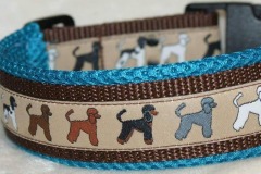 Webband-Pudel-bunt-3
