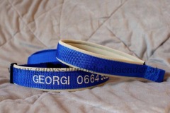 besticktes-Halsband-Georgi-2