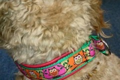 Golden-Doodle-Webband-Eule-2