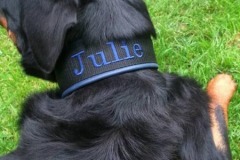 Rottweiler-Julie-besticktes-Halsband