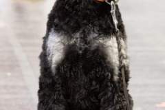 FB_IMG_1692074446116