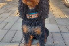 FB_IMG_1692074454002