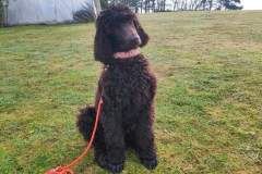 FB_IMG_1694461122144