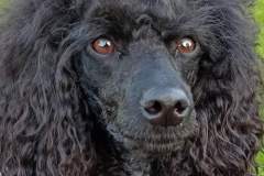 FB_IMG_1694461129172