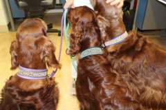 FB_IMG_1694461134705