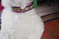 FB_IMG_1694461172322