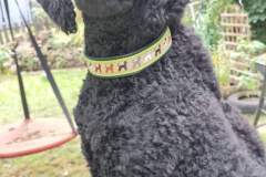 FB_IMG_1694461185330