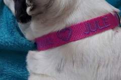 FB_IMG_1694461223309