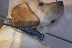 FB_IMG_1694461229426