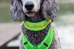 FB_IMG_1694461237077