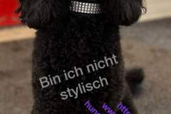 FB_IMG_1694461247045