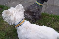 FB_IMG_1694461253866