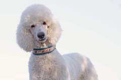 FB_IMG_1694461485844