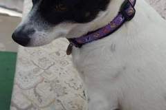 FB_IMG_1694461493092