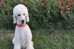 FB_IMG_1694461498854