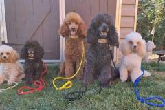 FB_IMG_1694461509459