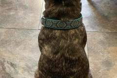 FB_IMG_1694510434238