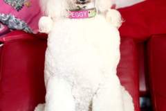 FB_IMG_1698070918648