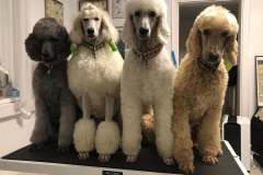 FB_IMG_1761762092486