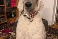 FB_IMG_1761762103958