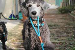 FB_IMG_1761762132793