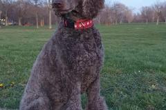 FB_IMG_1761762147556