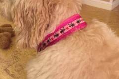 FB_IMG_1761762220998