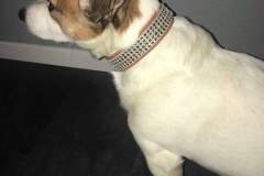 FB_IMG_1761762286401