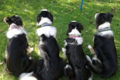 FB_IMG_1761762346622