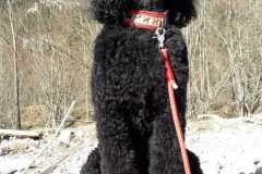 IMG-20200308-WA0023