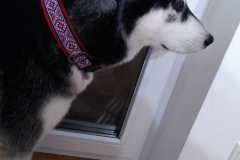 IMG-20230828-WA0003