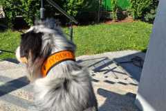 IMG-20250706-WA0003