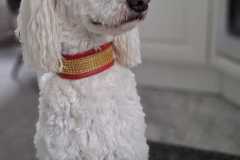 IMG-20250923-WA0001